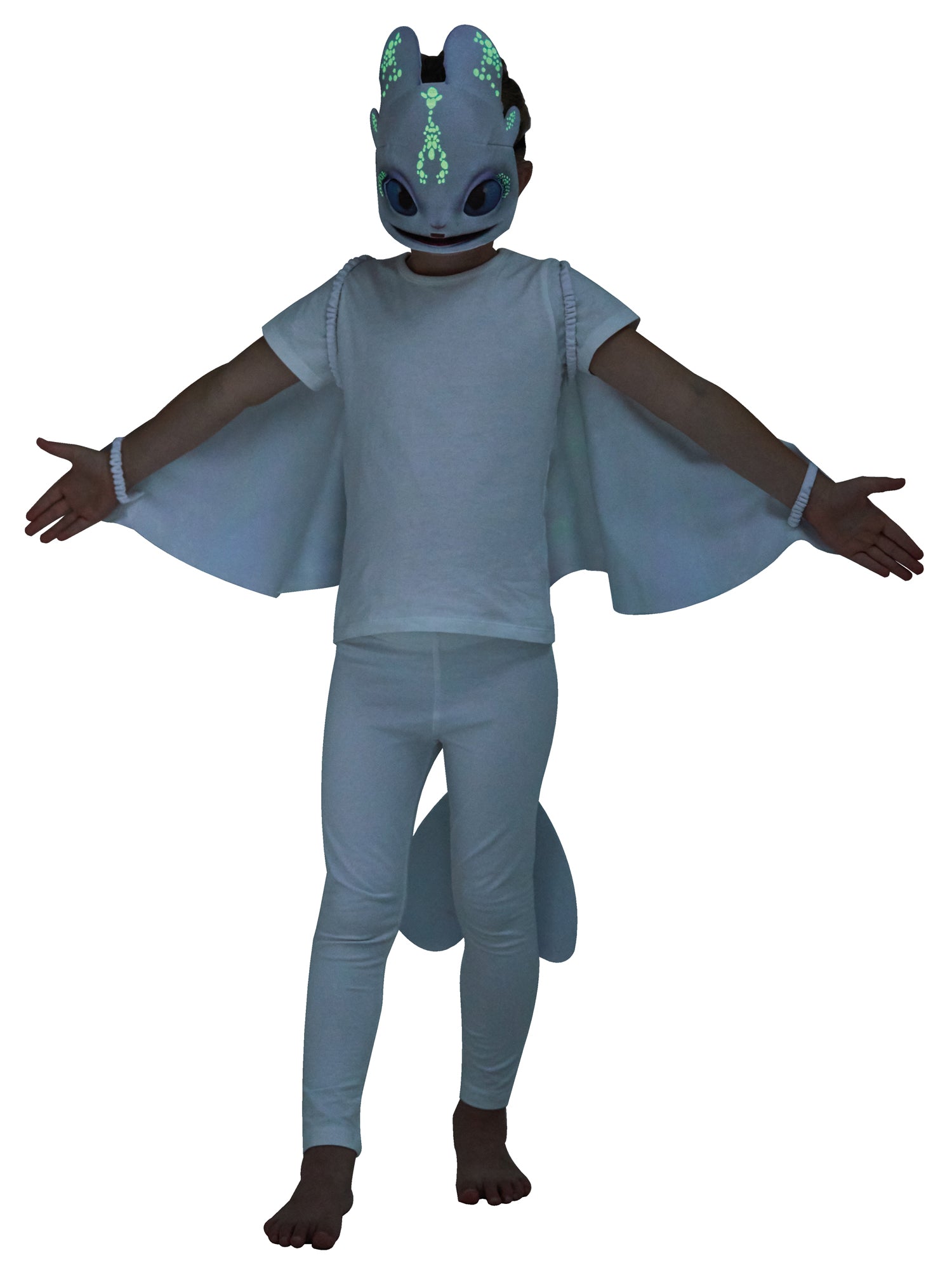 Light Fury accesoire set