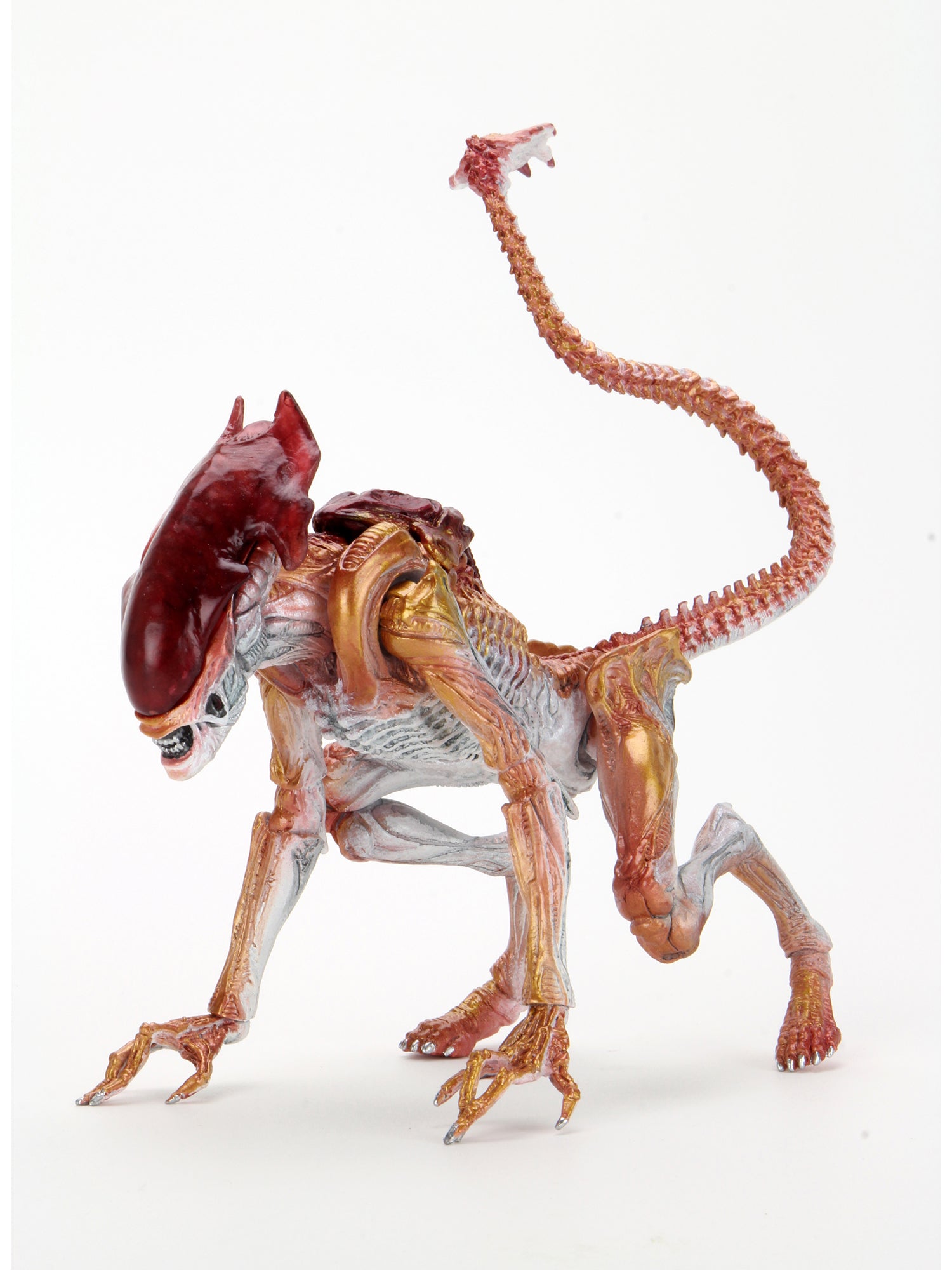 Aliens Ultimate Kenner Tribute Panther Figuur