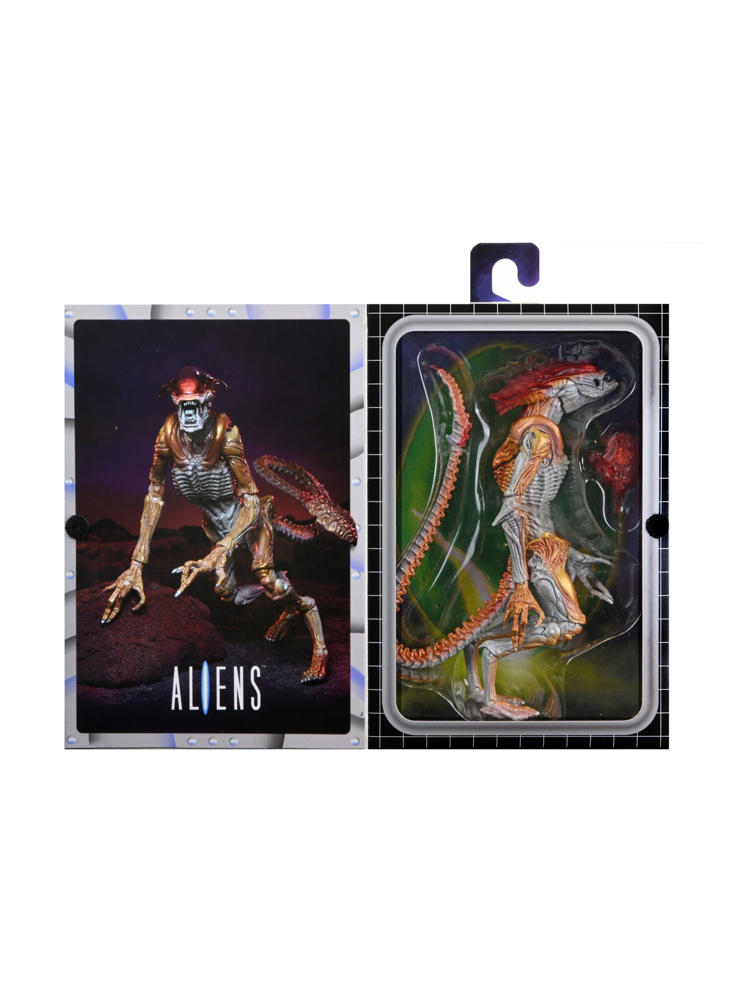 Aliens Ultimate Kenner Tribute Panther Figuur