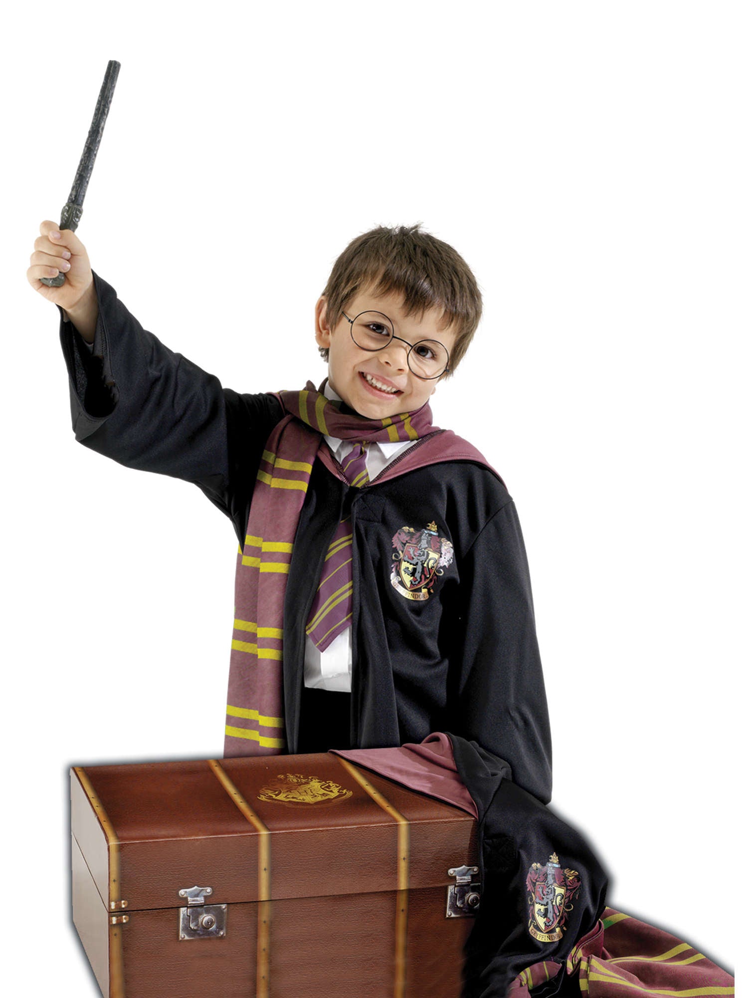 Harry Potter koffer kostuum
