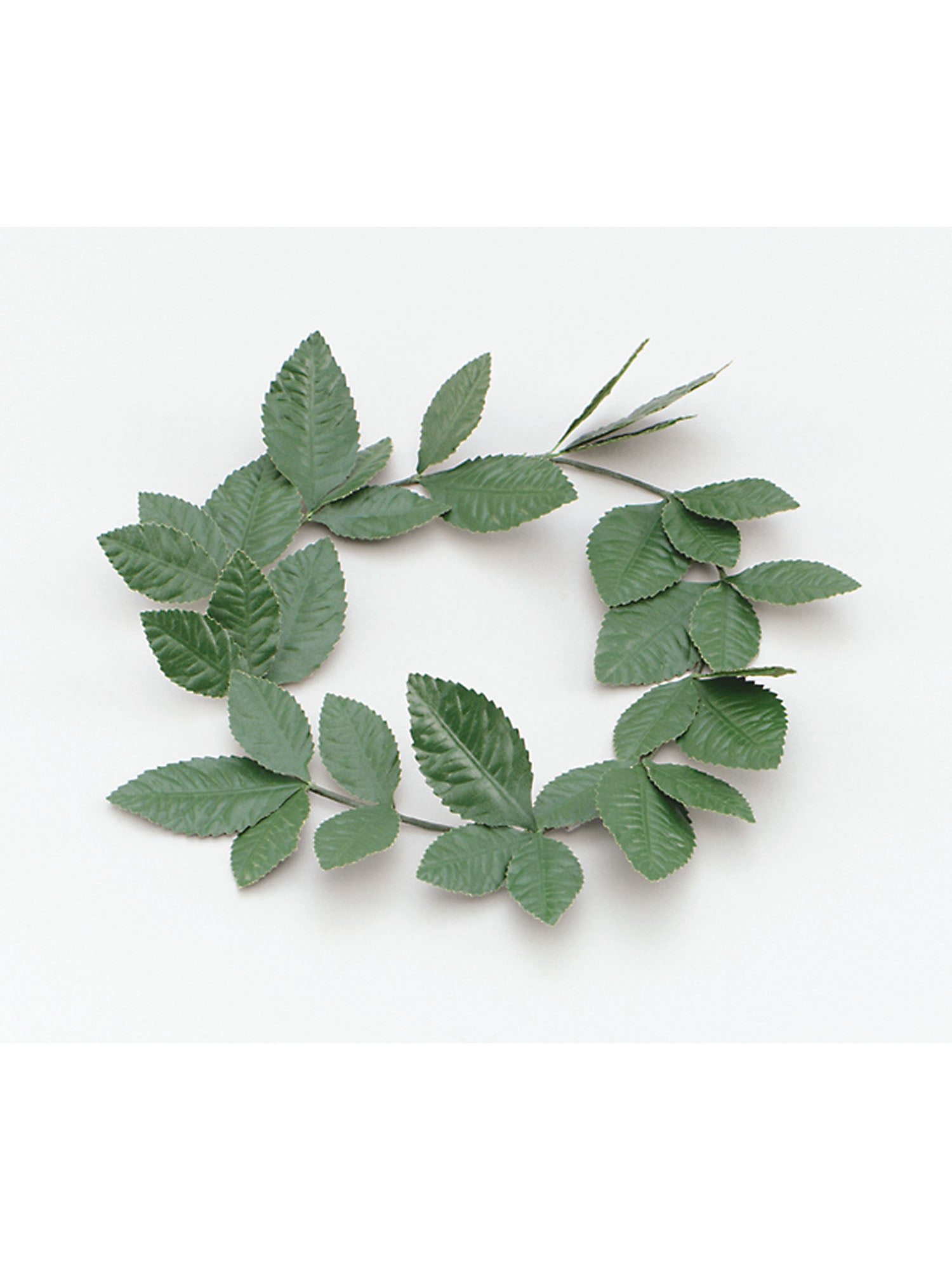 Lauwerblad Hoofdband Kostuumaccessoire