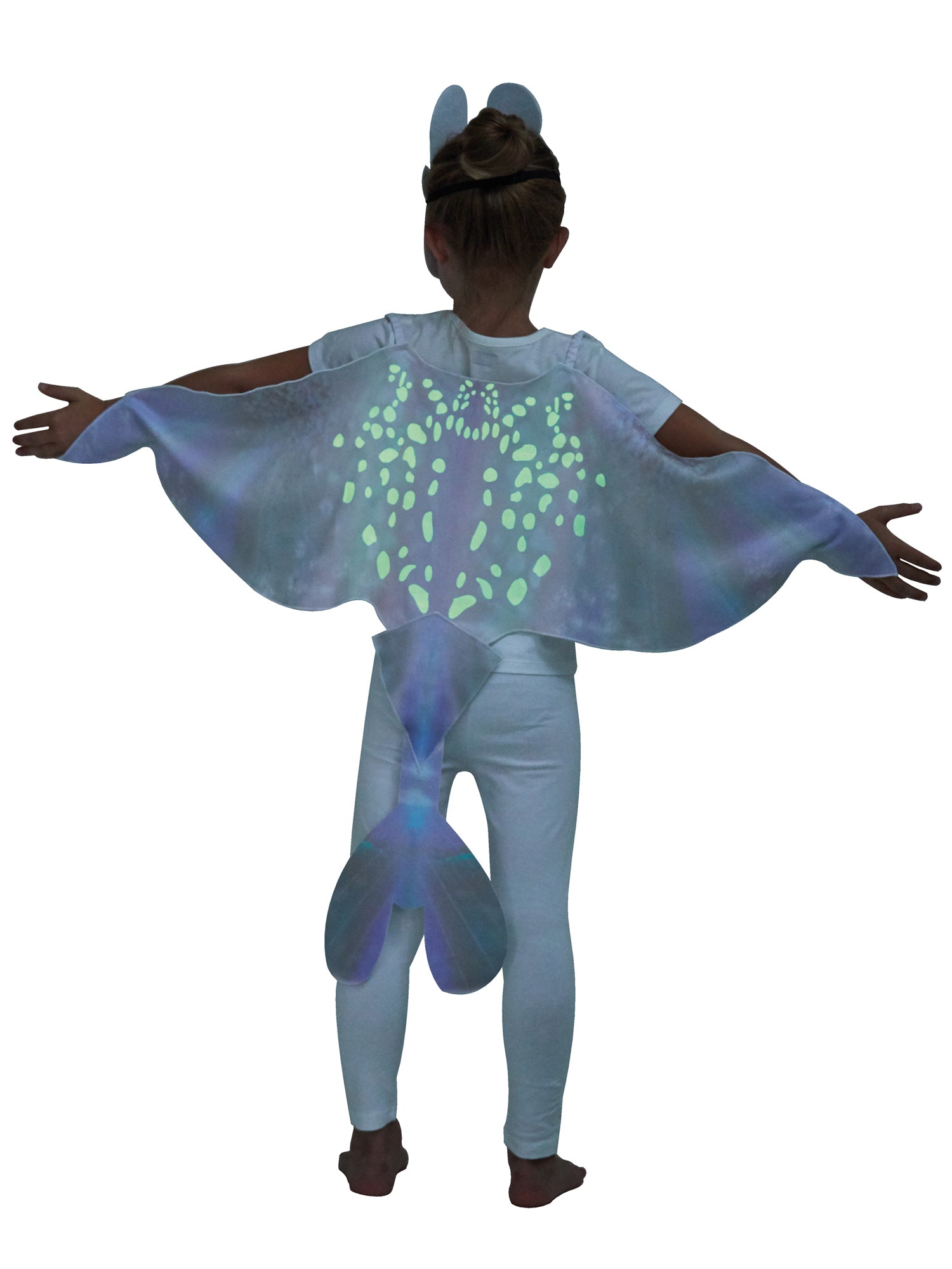 Light Fury accesoire set