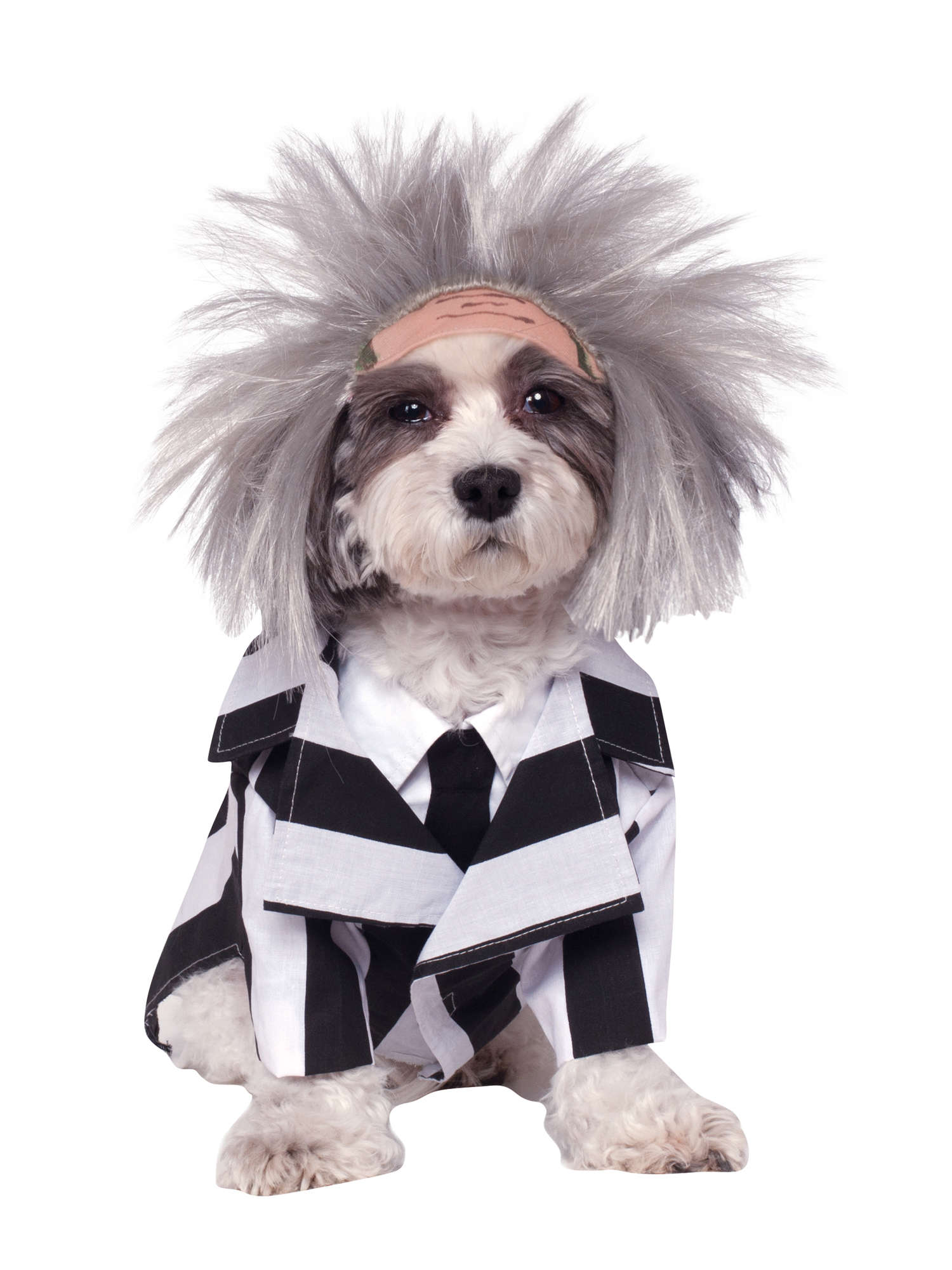 Beetlejuice Huisdierkostuum