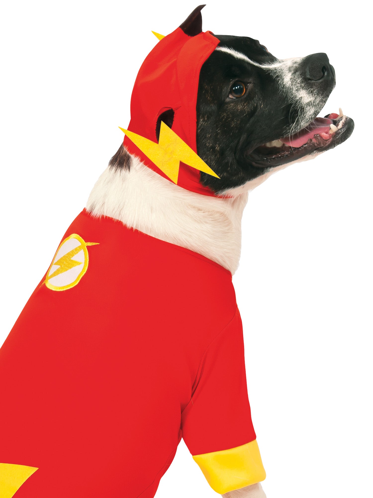 Flash Pet dieren kostuum